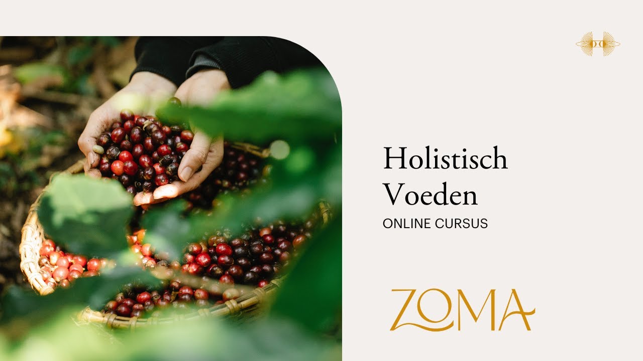 Hoe blijf ik gezond? Wat is gezonde voeding? Intro online cursus Holistische voeden ZoMa Opleidingen