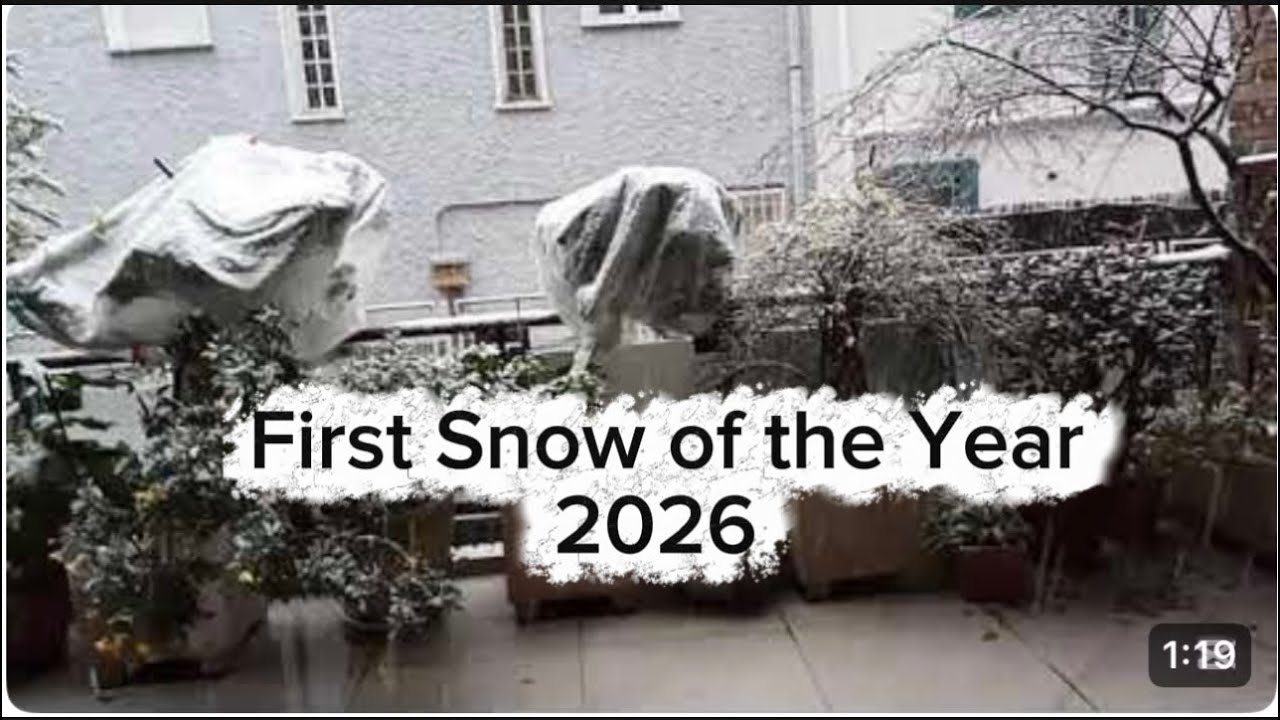 Первый снег 2026 года в Мадриде #снег #снежинка #снегопад #зима #зимнеенастроение #погода #холод #yt