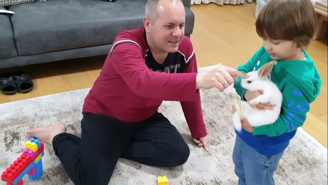 Fatih Selim tavşanı kafesten çıkardı lego'larla oynasın,beraber oyun oynayıp tavşan evi yapalım