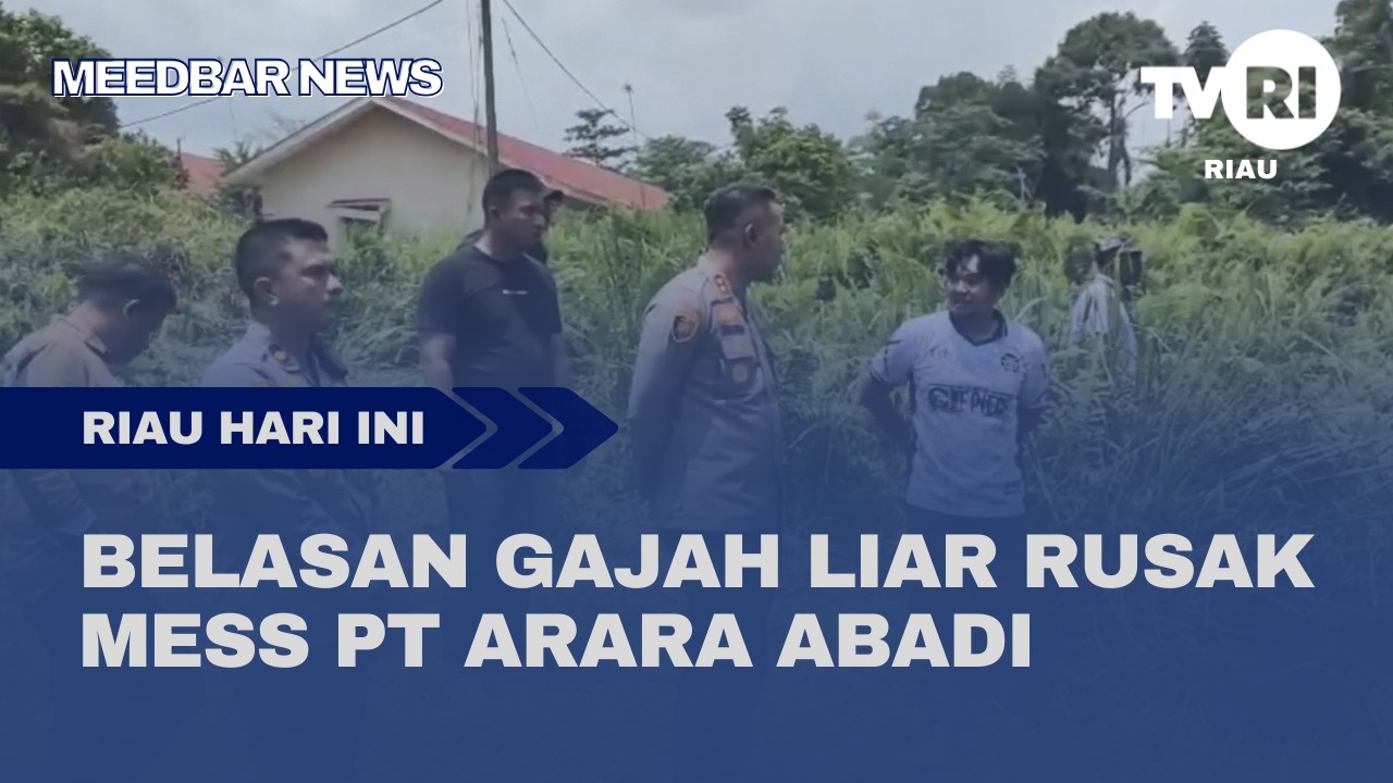 BELASAN GAJAH LIAR RUSAK MESS PT ARARA ABADI