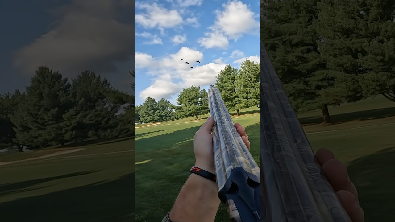Triple Barrel Shotgun In Action! #hunting #hunt #hunters #outdoors #nature #waterfowl #goose #geese