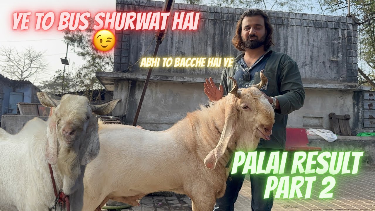 Bacche De Rahe Hai Aise Result Ab To Bade Bohhat Baki Hai Palai result Part 2 Dgoatfarm  
