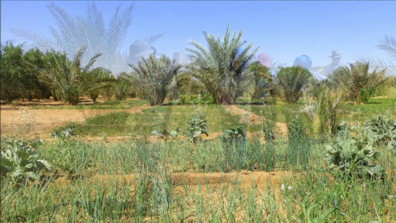 Moroccan Journey 3   Sahara
