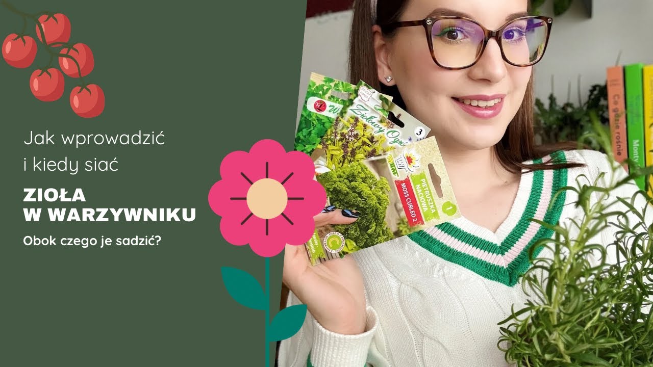 Zioła w warzywniku. Kiedy siać, jak przechowywać i obok czego sadzić popularne zioła?