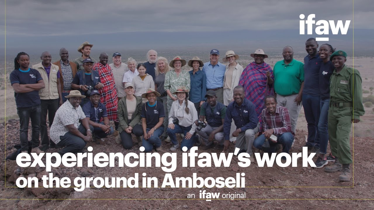 Experiencing ifaw's work on the ground in Amboseli for the first time