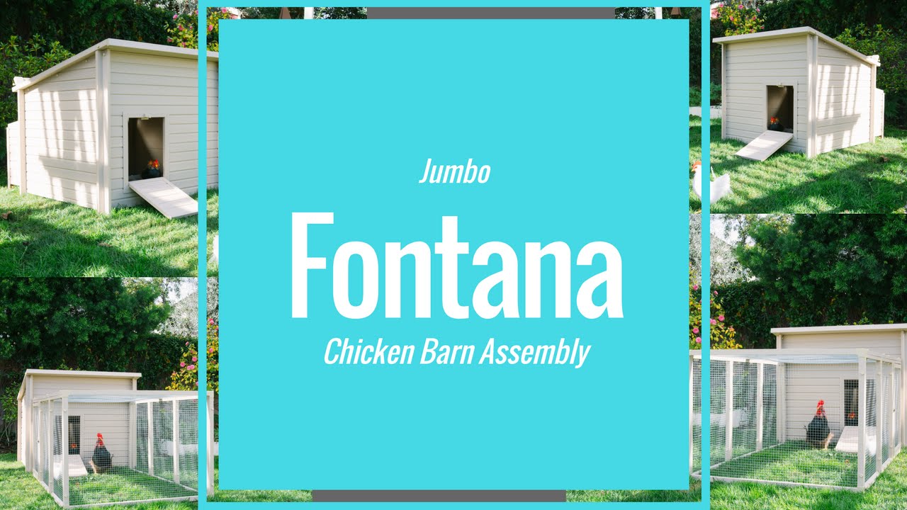 The ecoFLEX Jumbo Fontana Chicken Barn Assembly Video Guide