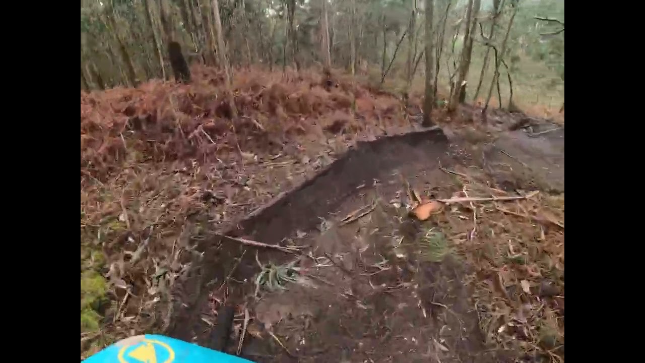 Enduro POV  DH