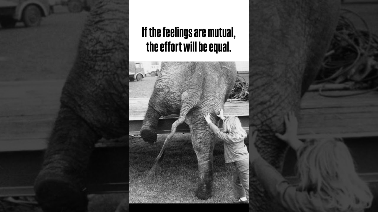 If the feelings are mutual, the effort will be equal. 