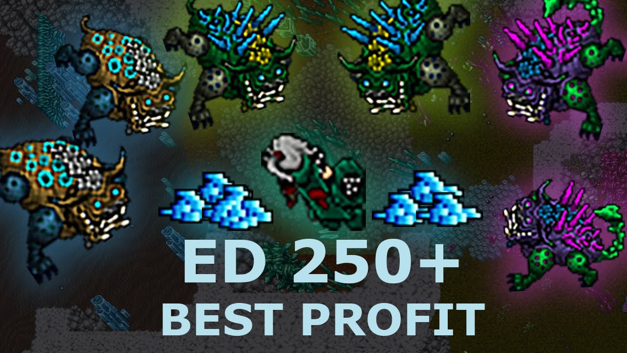 [Tibia] ED PROFIT SOLO - kudłate potwory w Carnivora's Rocks