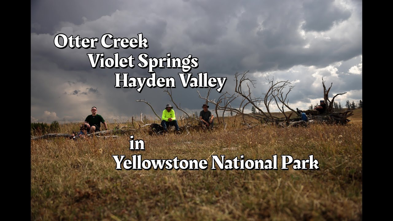 Cygnet Lakes TH, Otter Creek, Violet Springs, Hayden Valley in Yellowstone National Park
