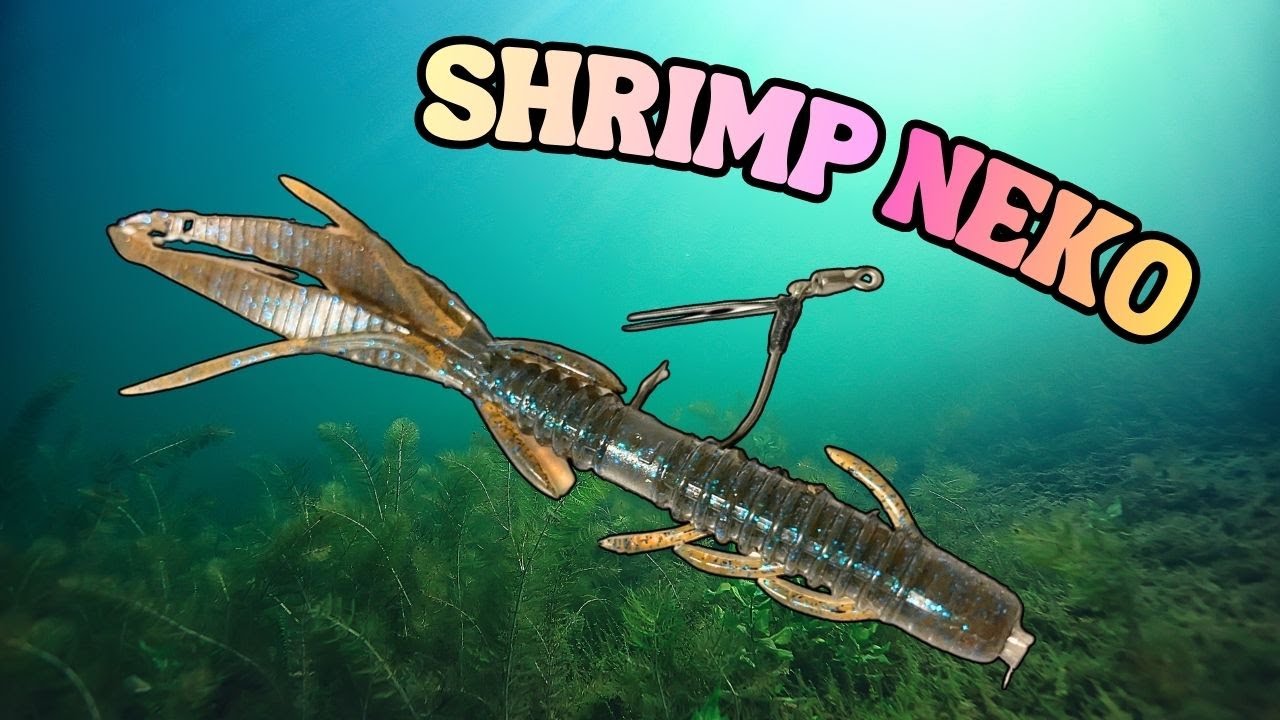 I Put a Shrimp Worm on a Neko Rig… Here’s What Happened | Bass Fishing Rig 101