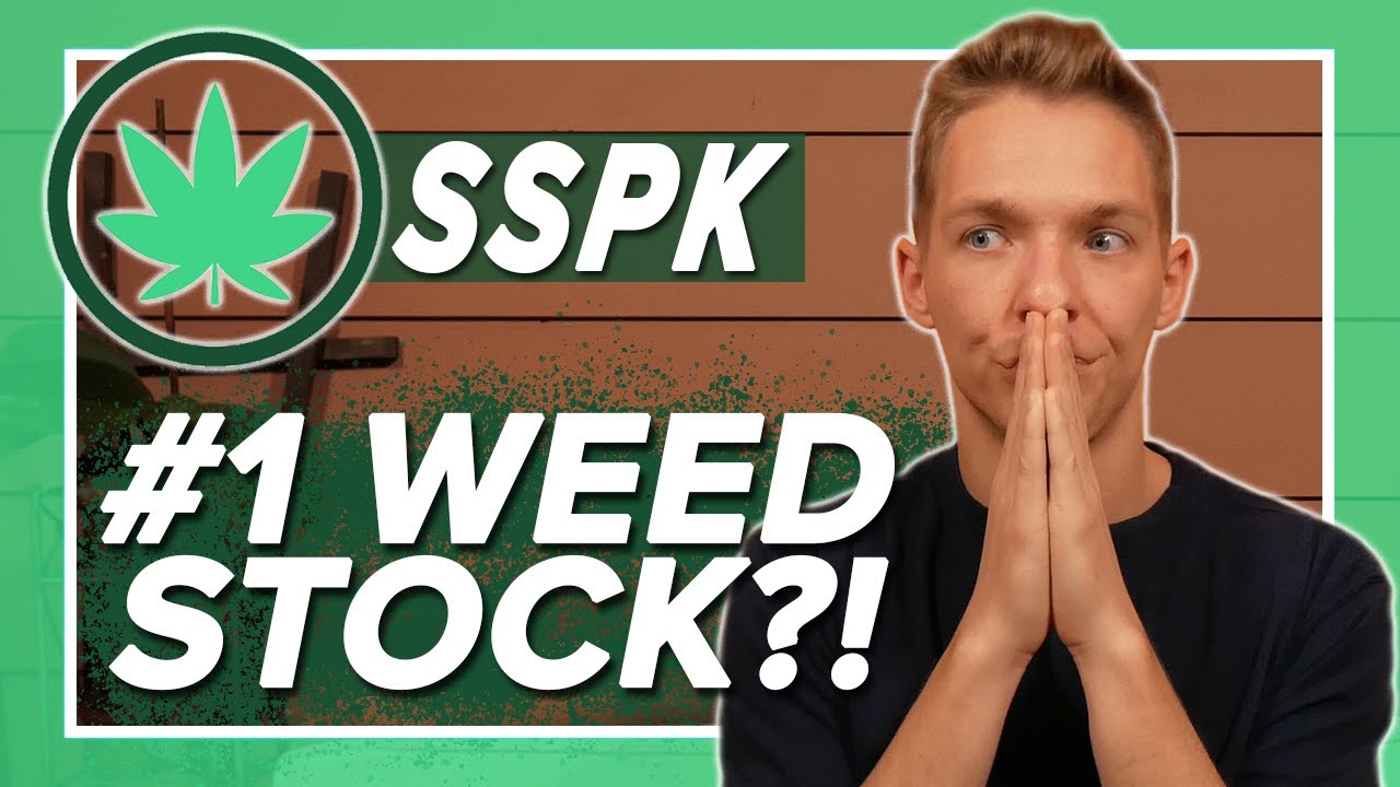 BEST Cannabis Stock for 2021 (SSPK Stock & WeedMaps)