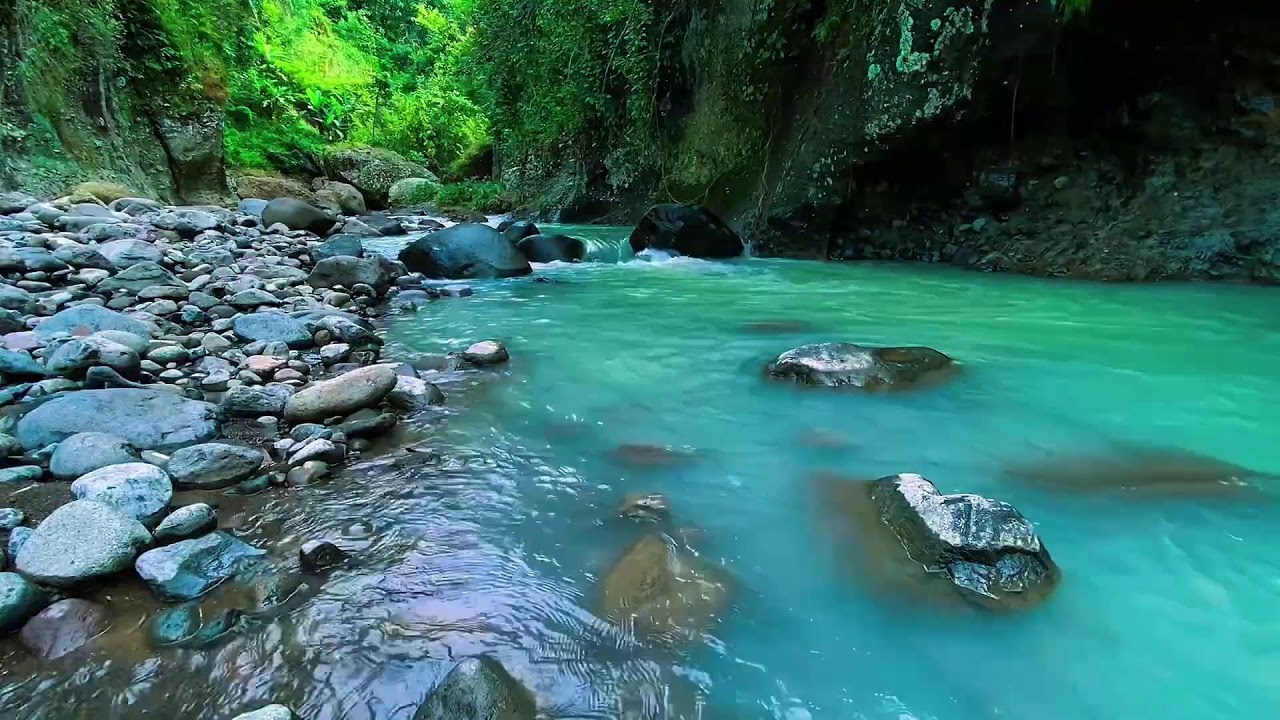 Mountain Stream Gentle Flow, Forest River Noise, Sleeping