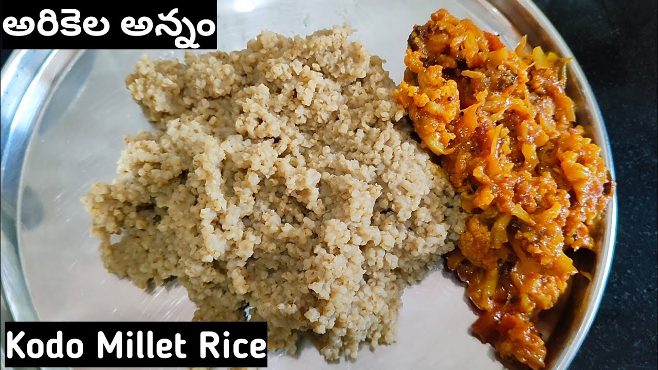 అరికెల అన్నం|arikelu annam|kodo millet rice in telugu|kodo millet rice|kodomillet@IshaniVlogs