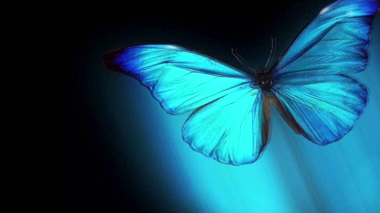Silvio Rodríguez - Mariposas con letra (lyrics)