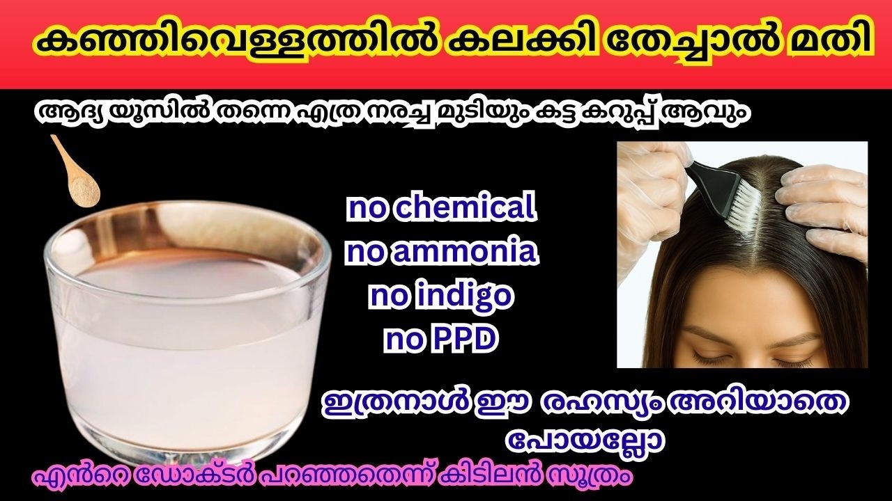 കഞ്ഞി വെള്ളത്തിൽ കലക്കി ഒരുവട്ടം തേച്ചാൽ മതി ഒറ്റയൂസിൽ മുടികറുപ്പിക്കാംമുടിഇരട്ടിയായിവളരും|haircare