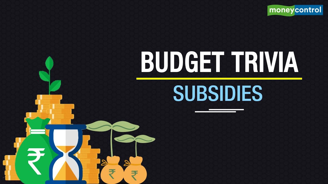 What Are Subsidies?