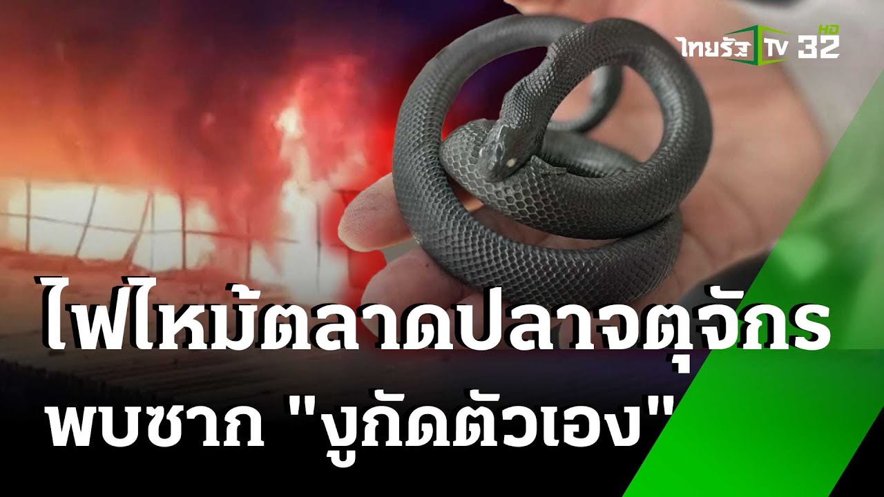 สลด! ไฟไหม้ตลาดปลาจตุจักร พบซาก 