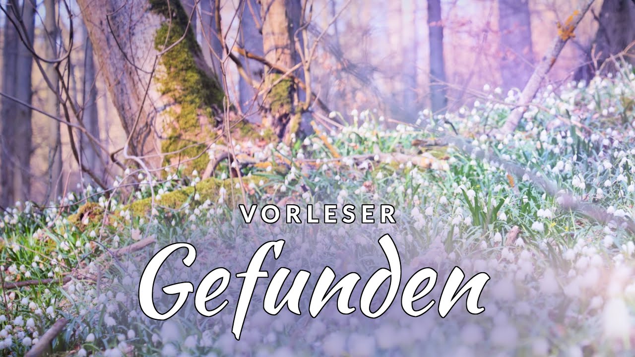 GEFUNDEN - JOHANN WOLFGANG VON GOETHE