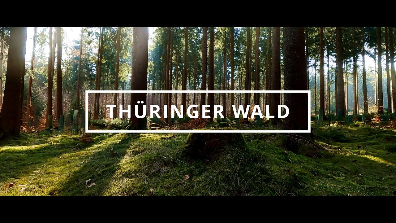 Thüringer Wald bei Tambach - Dietharz