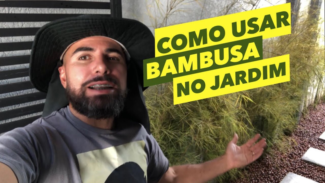 COMO PLANTAR BAMBU DE JARDIM | Bambuzinho amarelo | O Jardineiro Eden