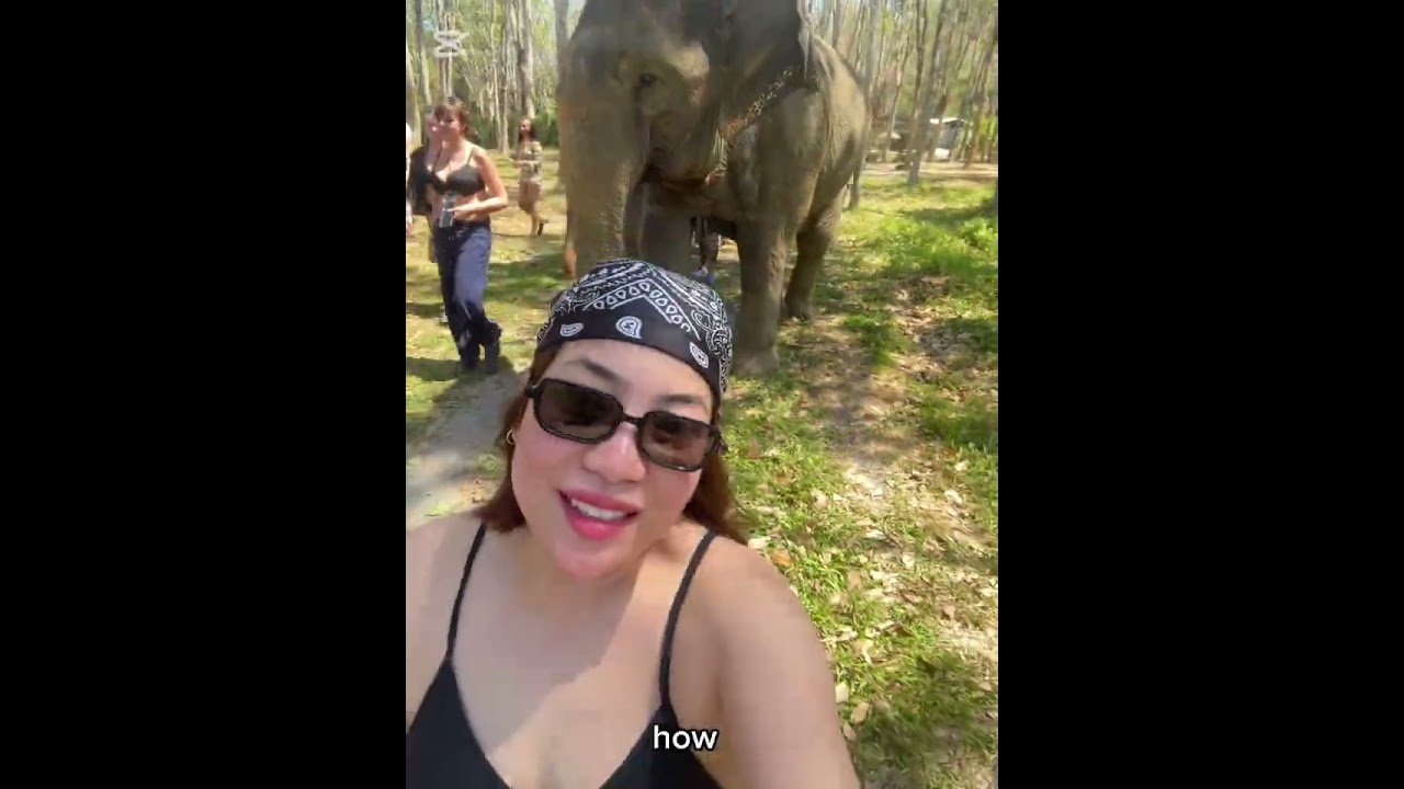 Elephant Feeding & Sea Bathing Experience in Phuket, Thailand