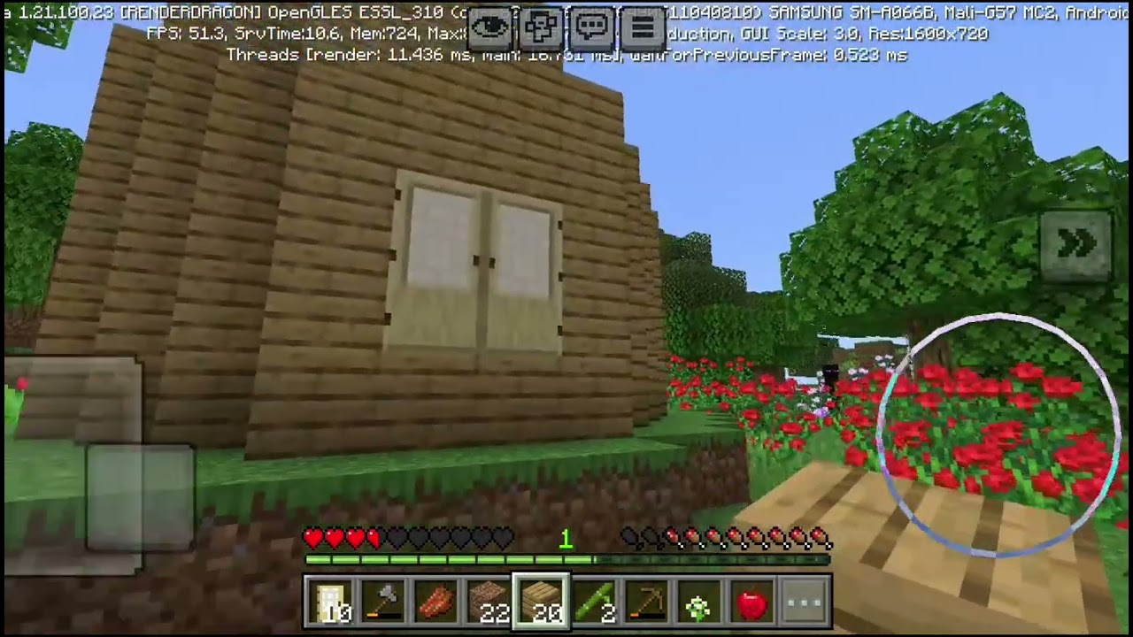 I Have made a new world in minecraft
