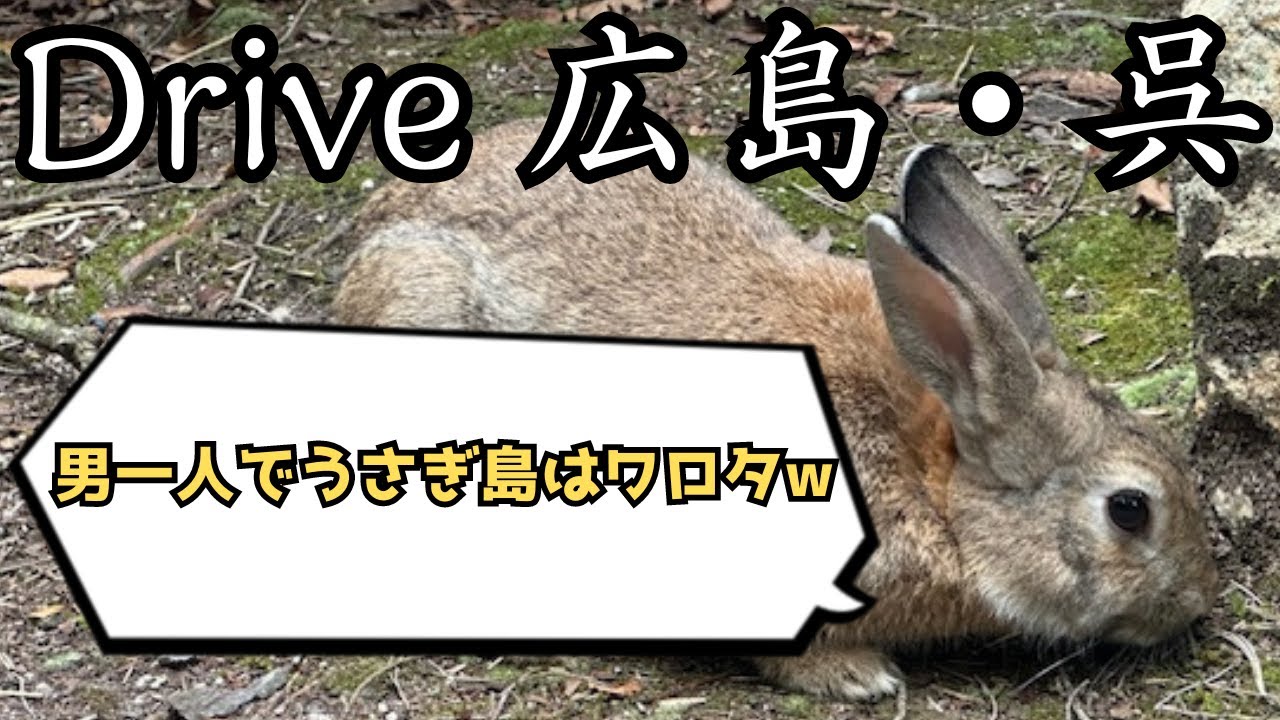 【vlog】広島・呉へ車で男一人旅　そしてうさぎ島で一人の意味を知る。