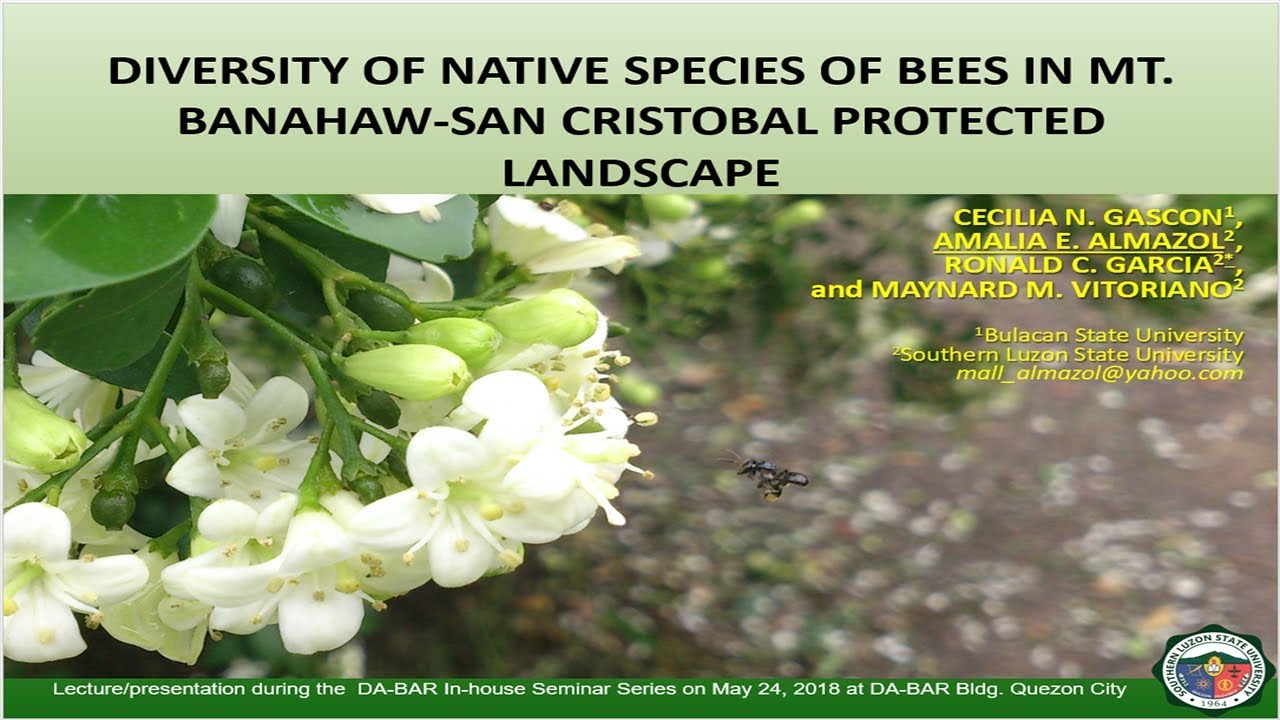 Diversity of Native Species of Bees in Mt Banahaw