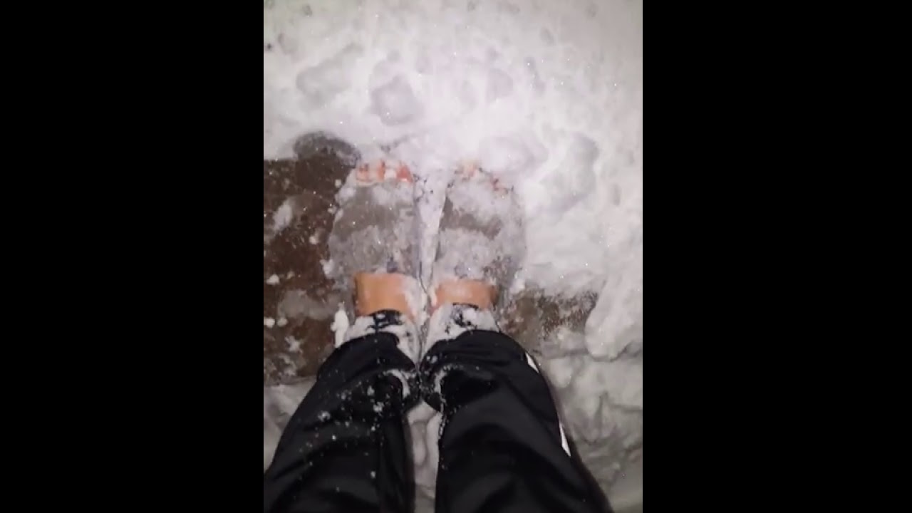 Trashed Toms in the snow