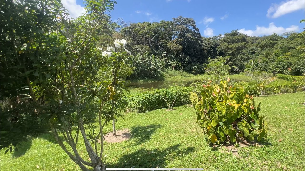 Sítio com muitas fruteiras e lago em meio a montanhas, localizado em Pacoti - CE.