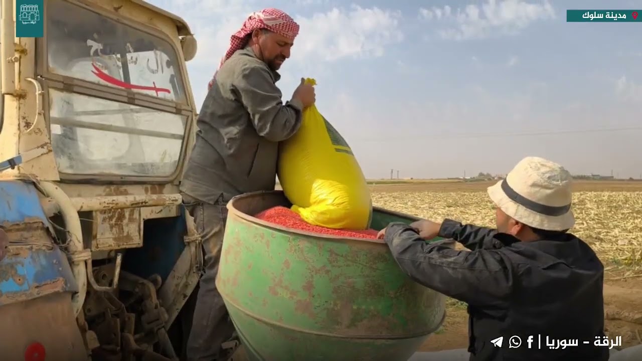 بدأ موسم زراعة القمح في ريف بلدة سلوك شمال الرقة