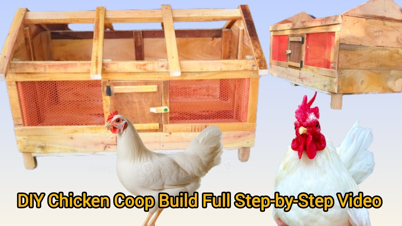 DIY Chicken House Build | Full Step-by-Step Video Tutorial #diywoodworking #wood #chickenfullvideo