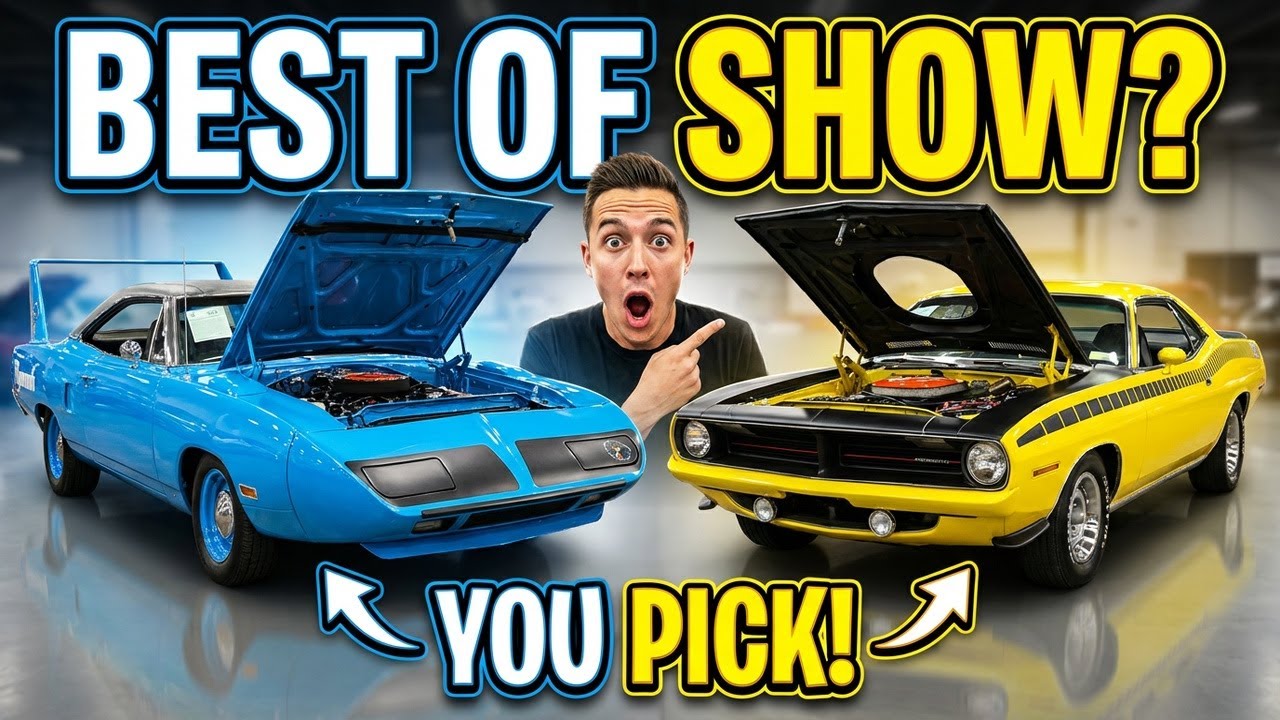 South Showcase Best of the Best - Which Would You Pick?