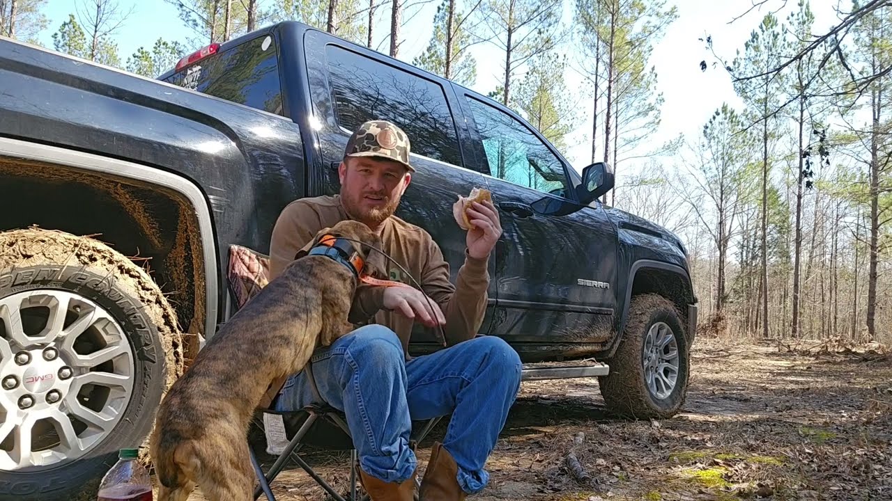 Squirrel hunting Mountain Cur dogs
