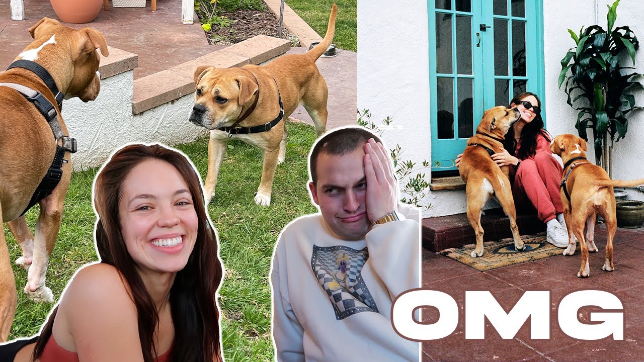 VLOG: FIRST PLAY DATE with Chris Klemens!!