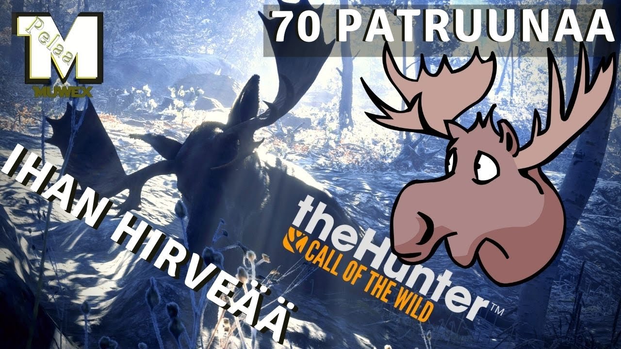theHunter: COTW HIRVEITÄ VINKKEJÄ