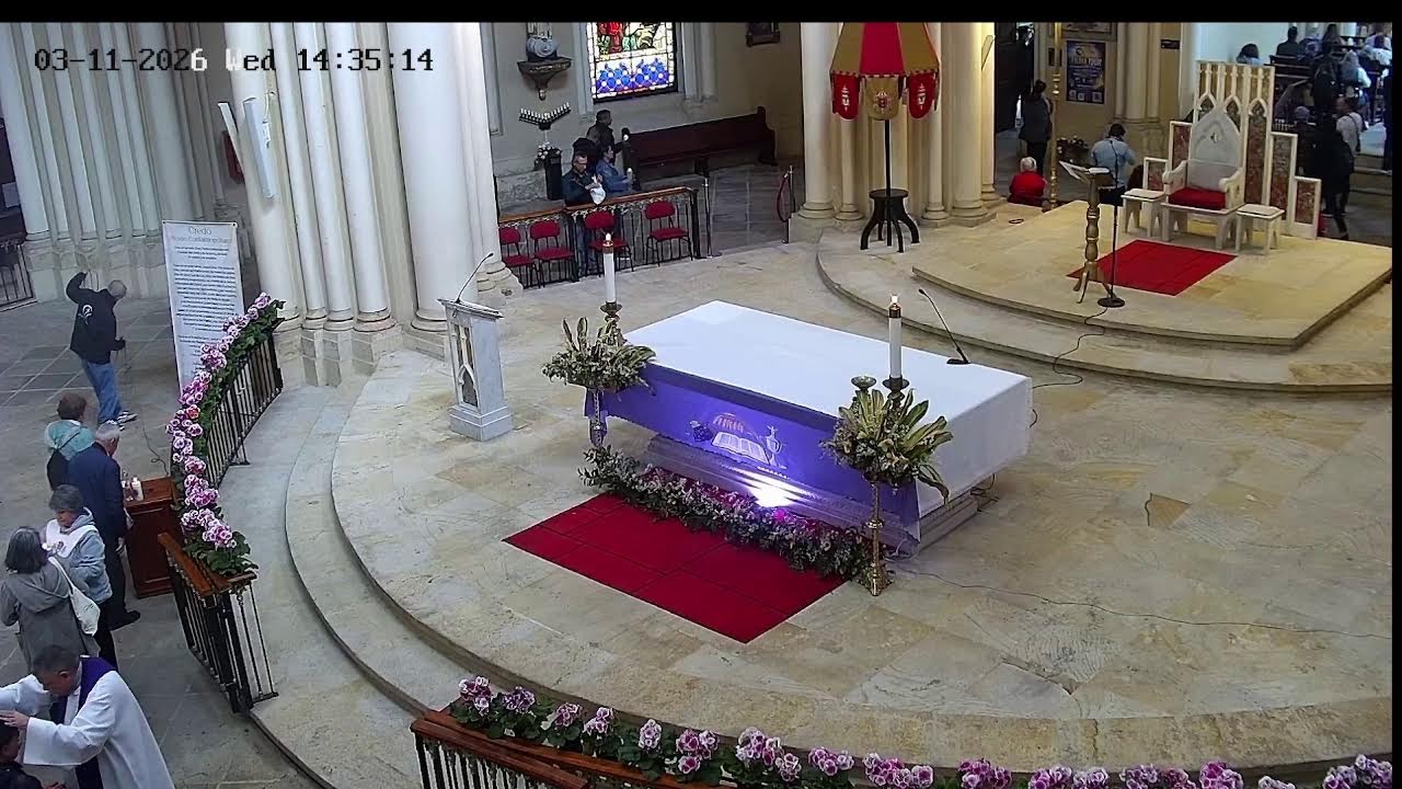 Transmisión Eucaristía Basílica de Lourdes   2026