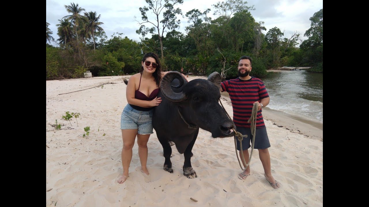 As belezas do Par&aacute;! (Bel&eacute;m, Ilha do Comb&uacute; e Ilha de Maraj&oacute;)