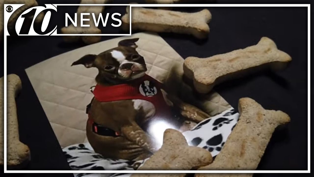 The toxic triad: Animal abuse, domestic violence and child abuse | 10News WTSP