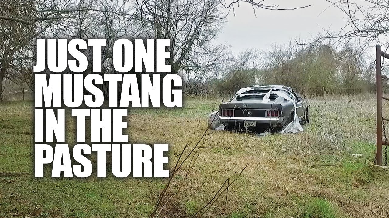 FOUND: 1970 Mustang Mach 1 in Texas Pasture