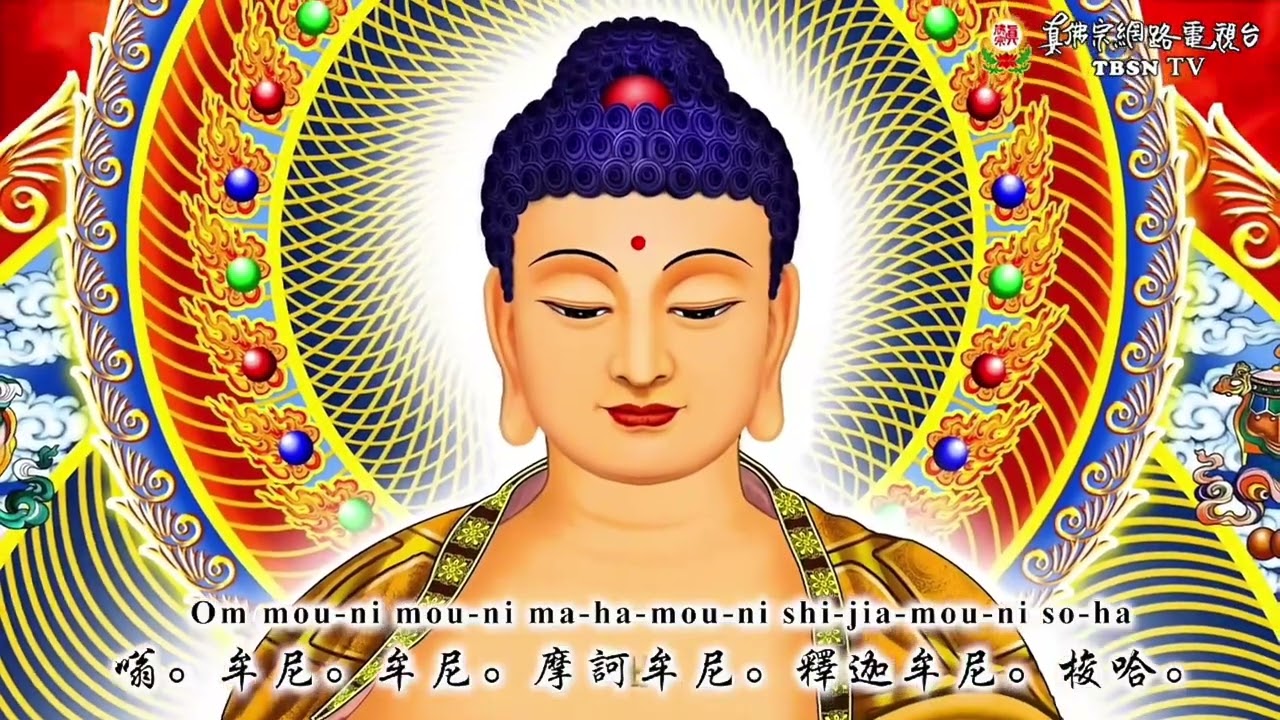 Sakyamuni Buddha 釋迦牟尼佛咒音mantra during Homa #livingbuddhaliansheng