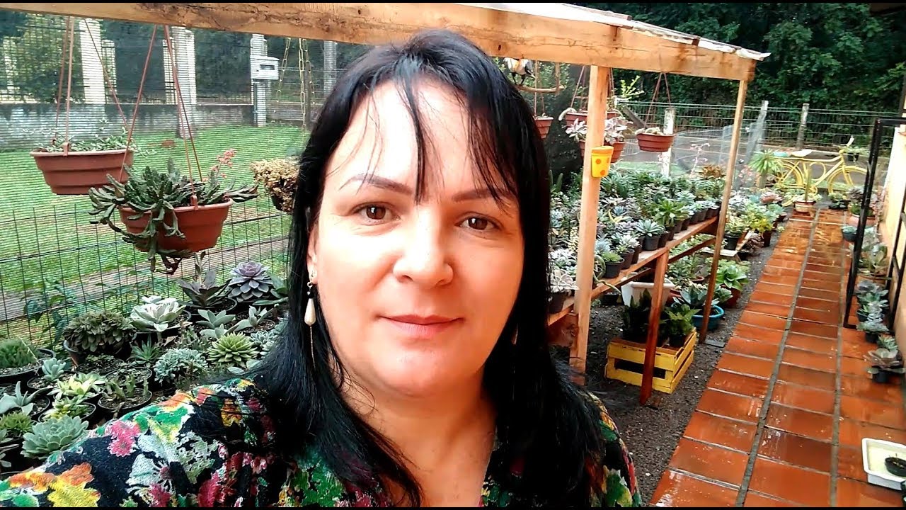 Suculentas ao tempo,,, #suculentasnachuva #suculentasdesol