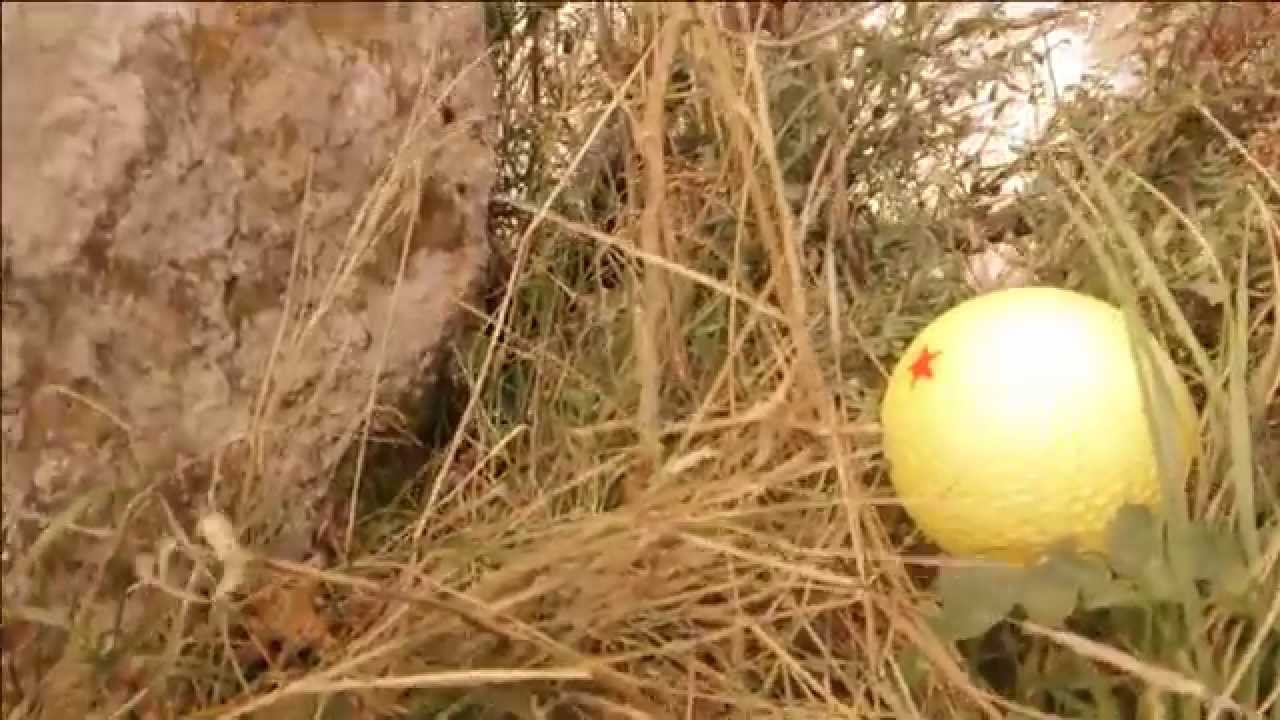 Bola de drac versi&oacute; la plana