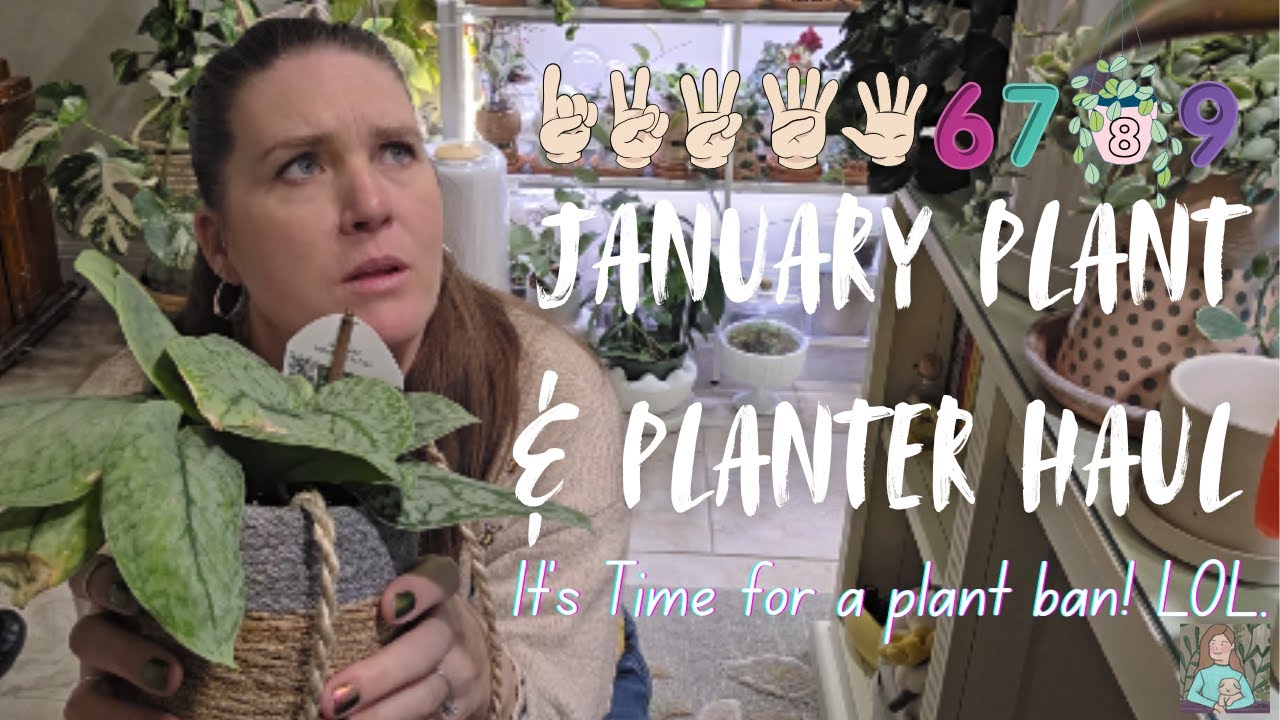 January Plant & Planter Haul