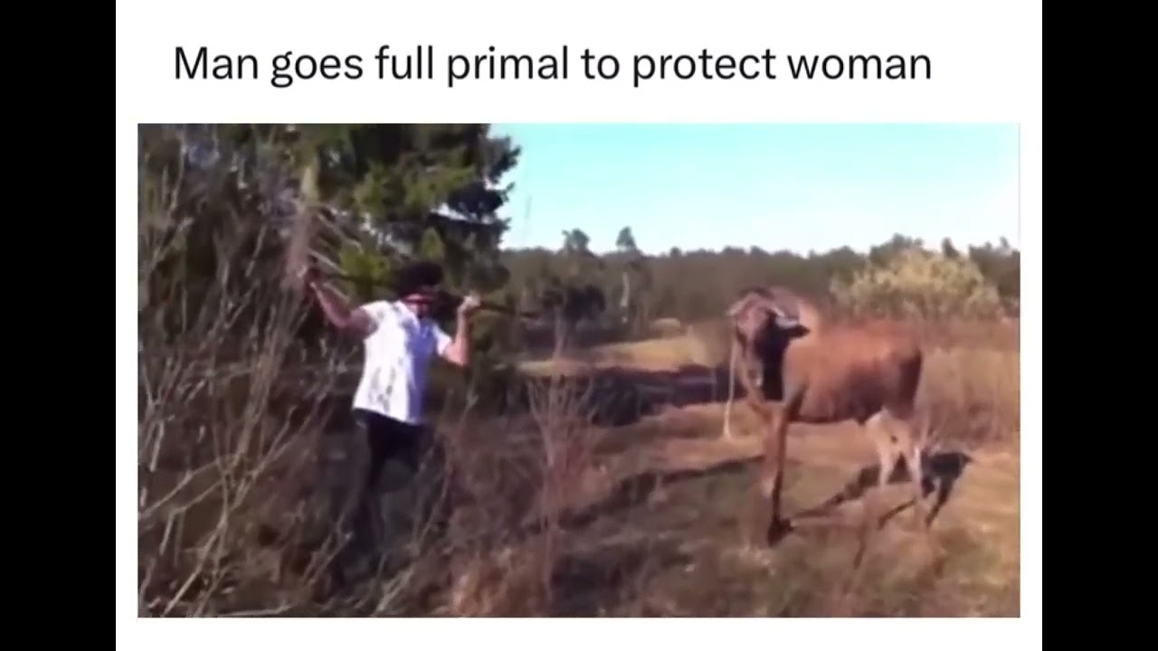 Epic Encounter: Man&rsquo;s Primal Instincts Stops Charging Elk!