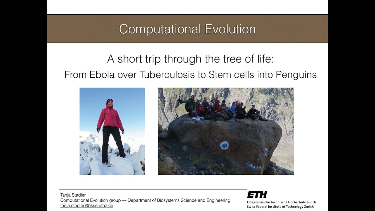 Tanja Stadler: A short trip through the tree of life