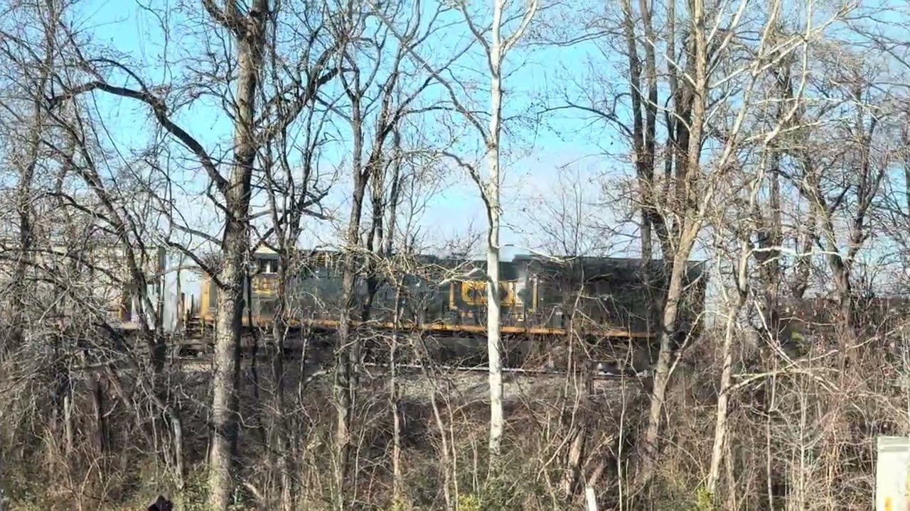 MEET! M416 and M419 meet at Woodbridge! || 1/15/2026