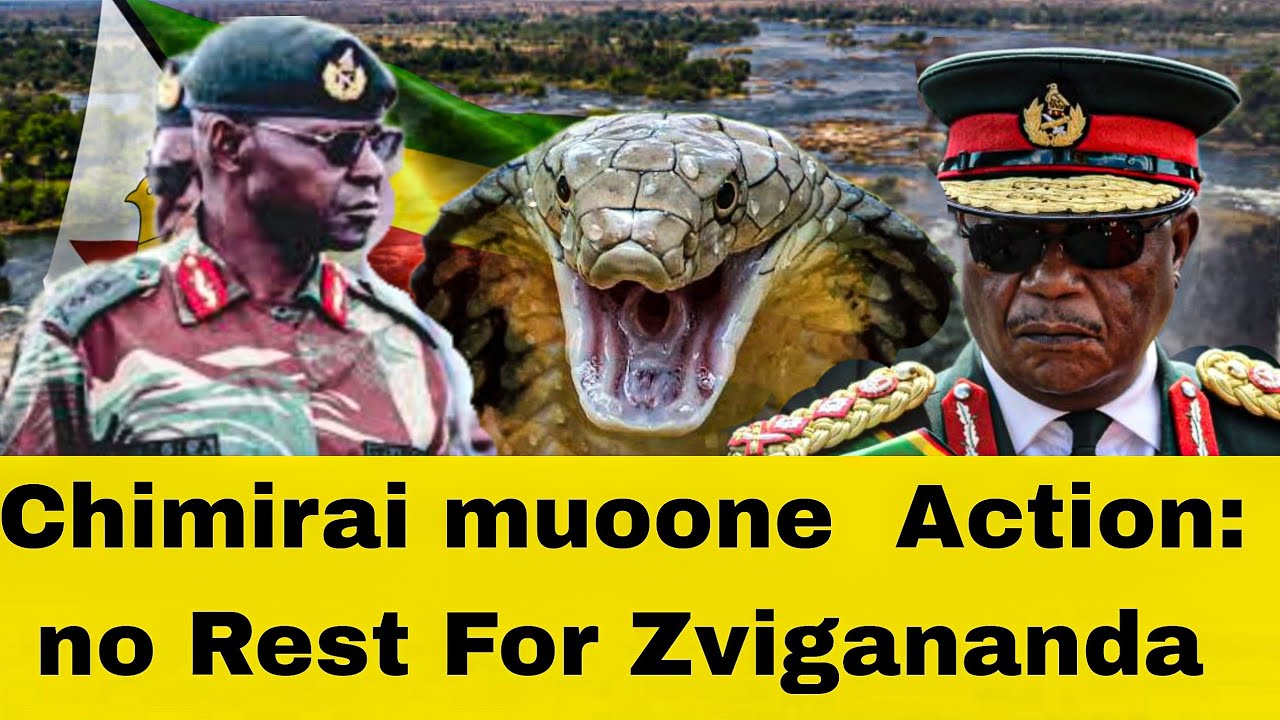 You Can Fight General Not God : General Chiwenga Road to State House 