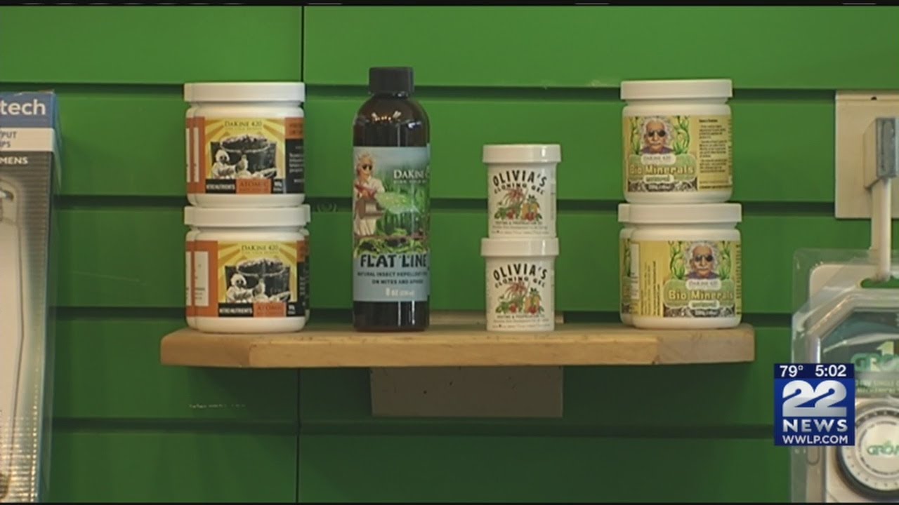 Local businesses: Marijuana license application process difficult